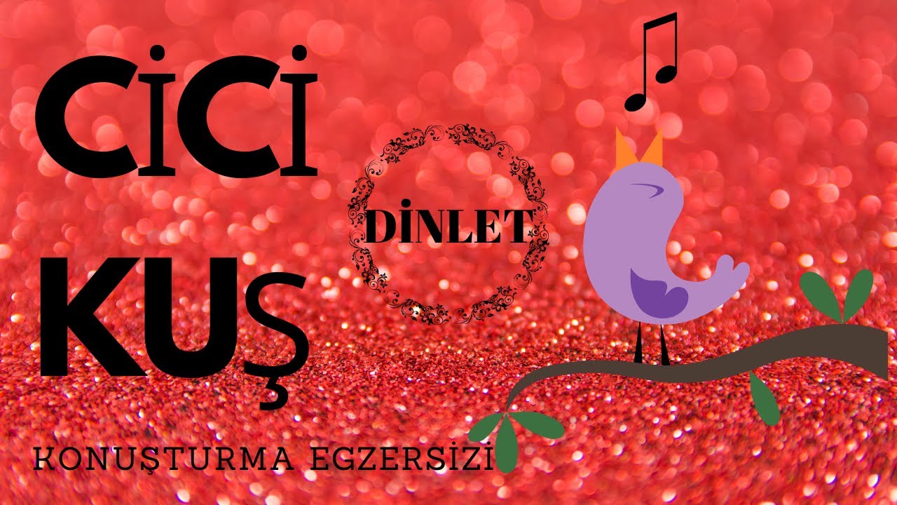 CİCİKUŞ SESİ - Muhabbet Kuşu Konuşturma Egzersizi ( Muhabbet Kuşu Konuşması )