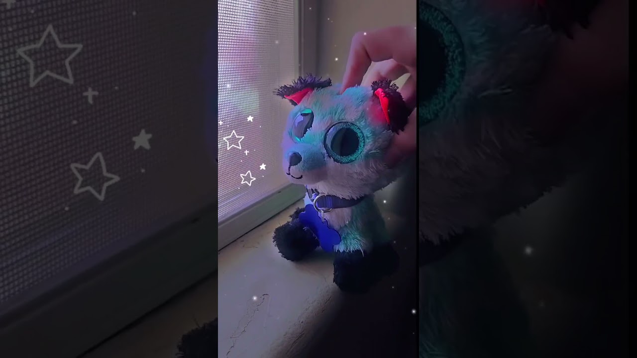 𝐖𝐡𝐞𝐫𝐞'𝐝 𝐚𝐥𝐥 𝐭𝐡𝐞 𝐭𝐢𝐦𝐞 𝐠𝐨? 💗 #edit #beaniebooedit #beanieboos #editing #beaniebabies #beaniebaby