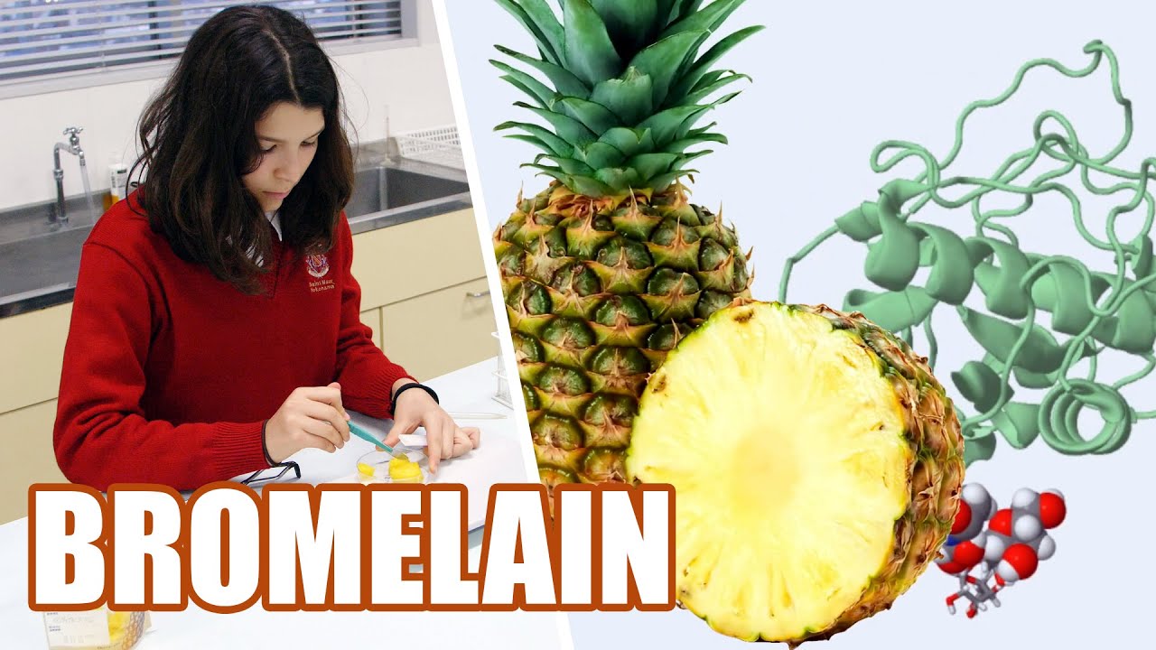 Pineapple Enzyme Activity on Jelly - IGCSE Combined Science