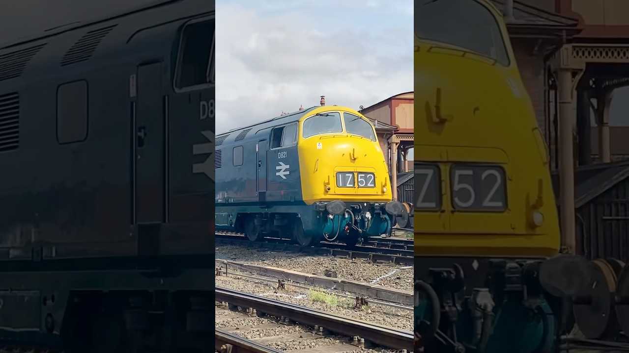 D821 - Warship Class 42 &ldquo;Greyhound&rdquo;