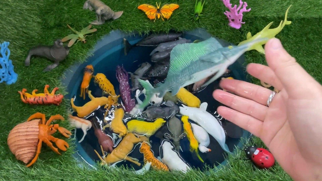 Learn Animal Names for Kids Toddlers & Preschoolers | Fun Educational Video