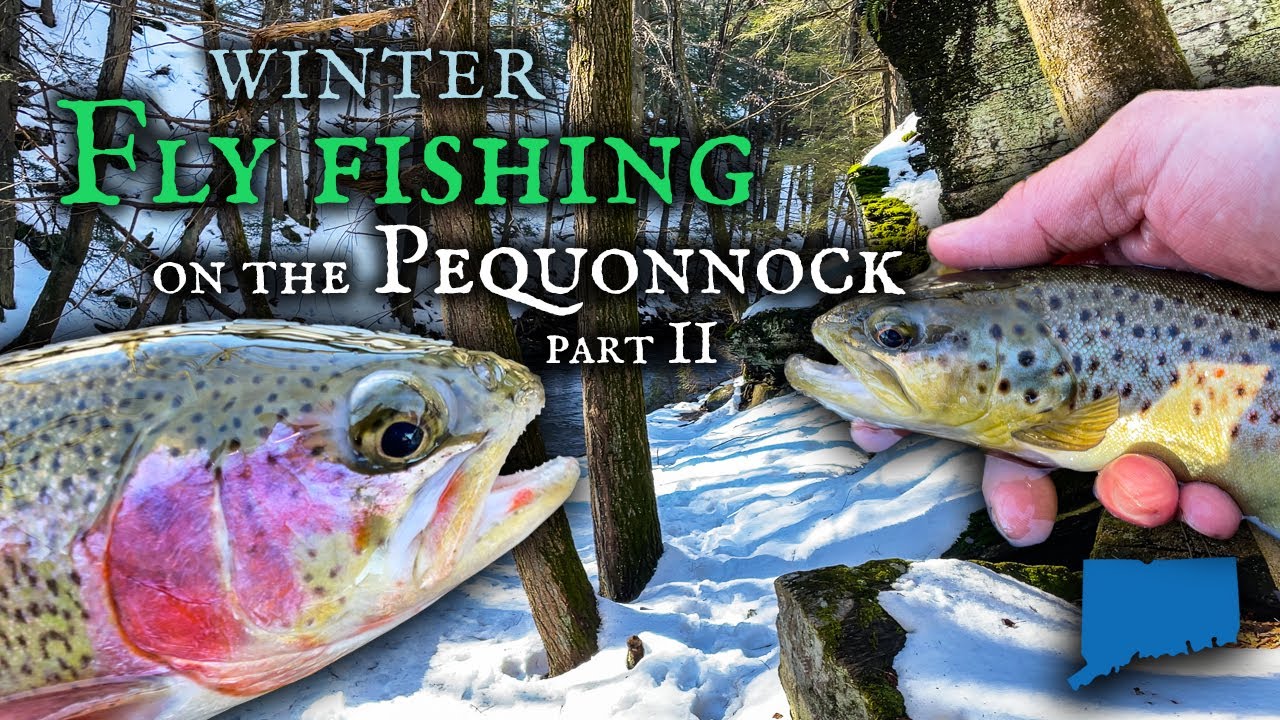 Return to the Pequonnock (February Fly Fishing in Connecticut)
