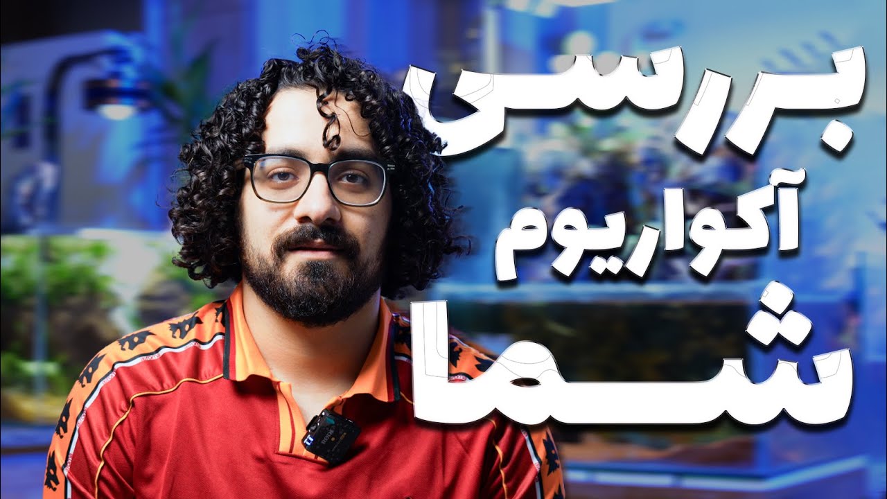 بررسی آکواریوم‌های فالوورها 🐠✨ | کدوم قشنگ‌تره؟ 🤔