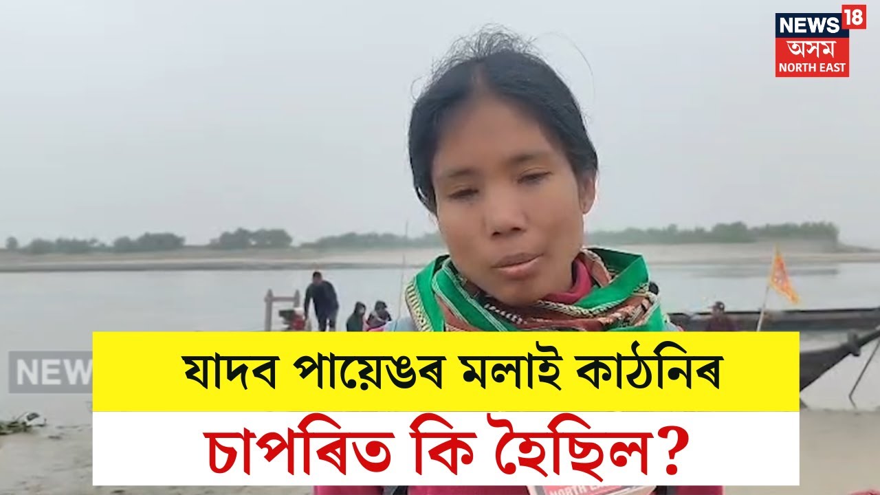 Jadab Payeng : অৰণ্য মানব যাদব পায়েঙৰ মলাই কাঠনিৰ কাষৰ এটা চাপৰিত কি হৈছিল? N18V