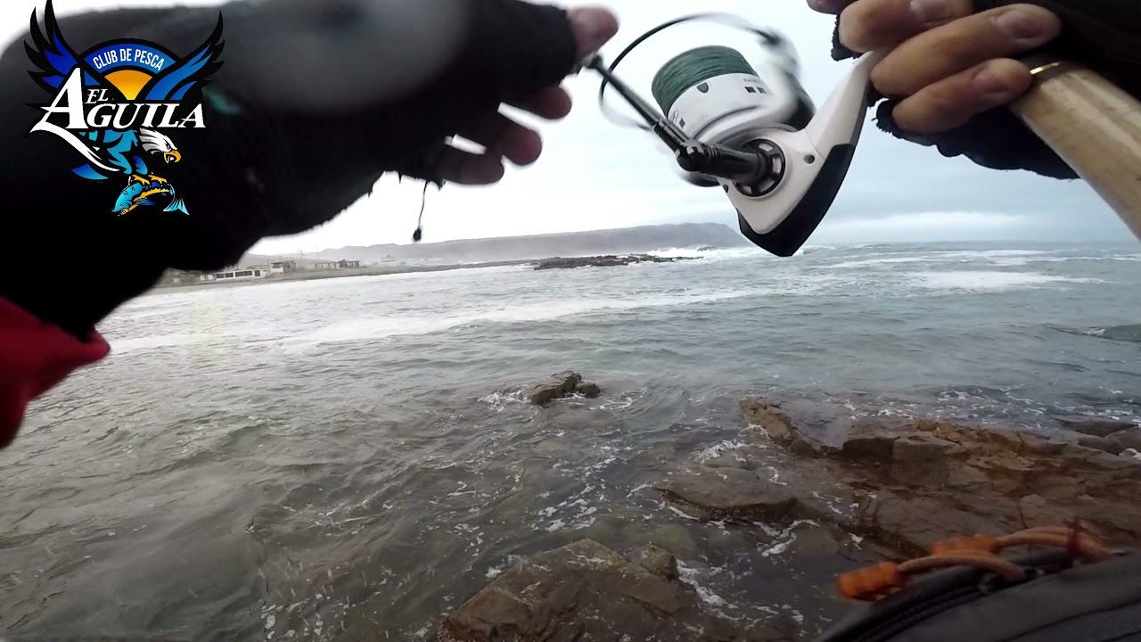 PESCA DE CABINZA, ARICA, CHILE, CLUB DE PESCA EL AGUILA