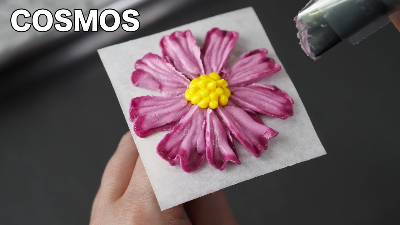 How to pipe buttercream cosmos [ Cake Decorating For Beginners ]