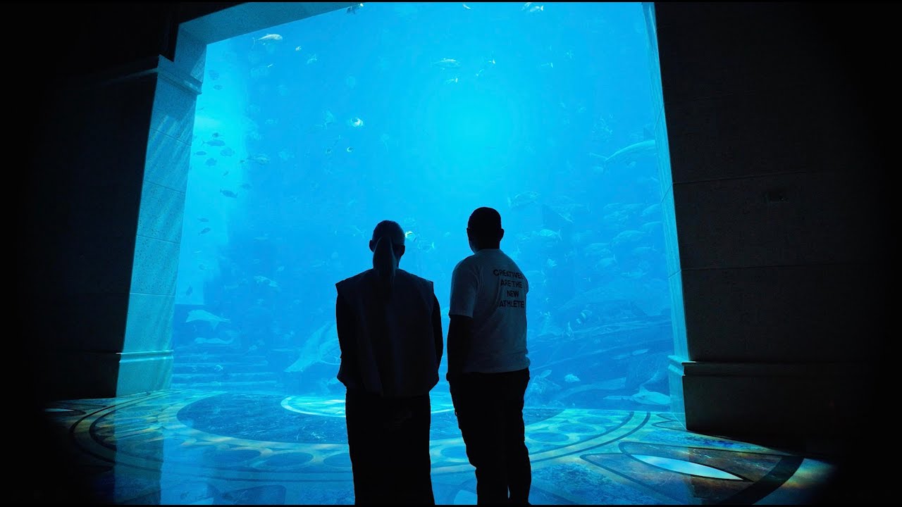Behind The Scenes of Atlantis, The Palm's  