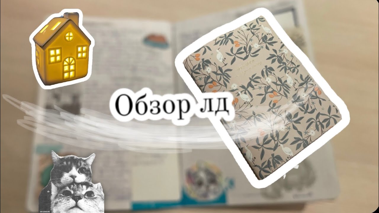 Обзор личного дневника обзор ЛД влог блог обзор блокноты книги канцелярия книжная полка ￼ эстетика