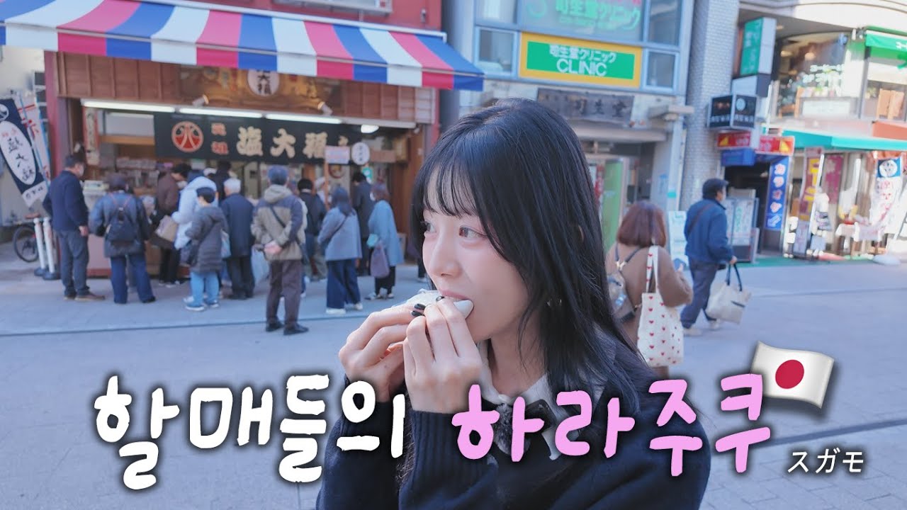 일본 할머니들의 최애동네인데 내가 더 즐거운 이유는 뭐지 💝🌻(ft.스가모)