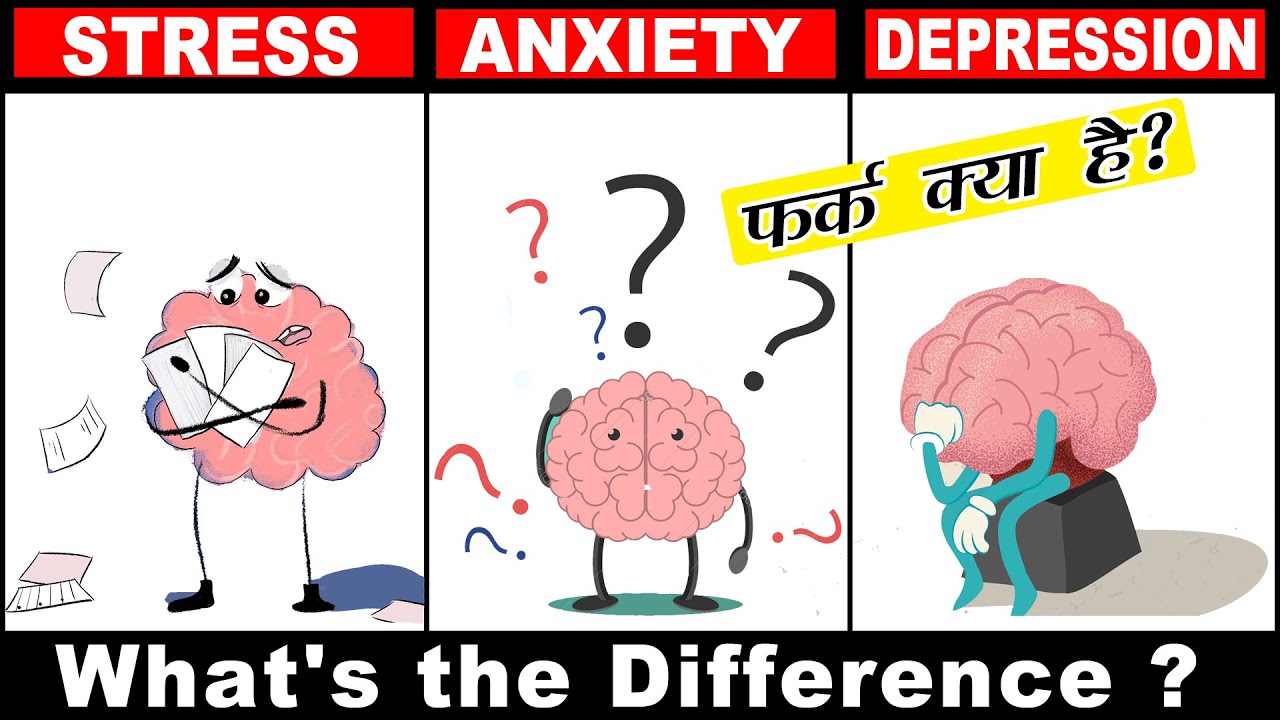 Difference between Stress depression and Anxiety | The Psychology Classes