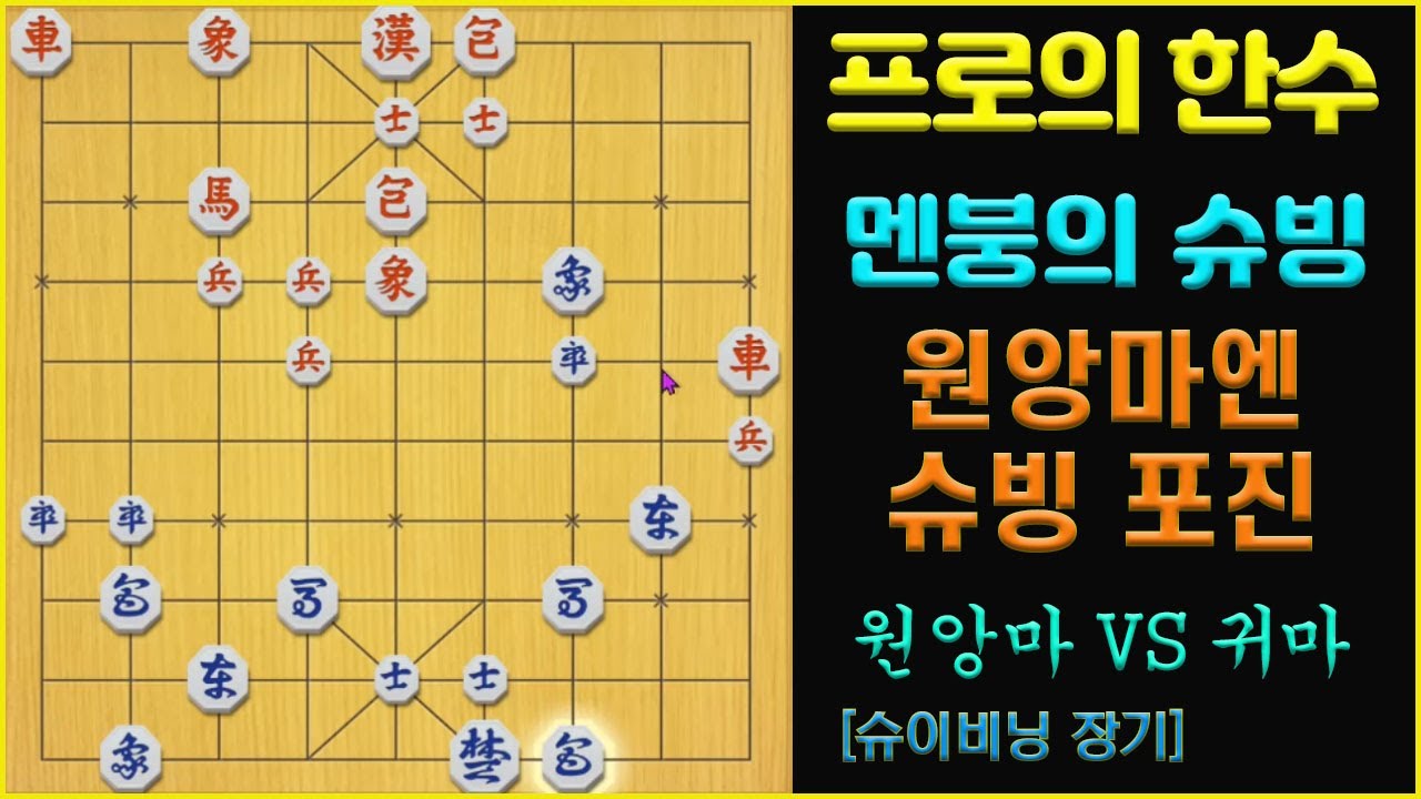 [프로의 한수] 멘붕의 슈빙이!!                (슈이비닝 장기)