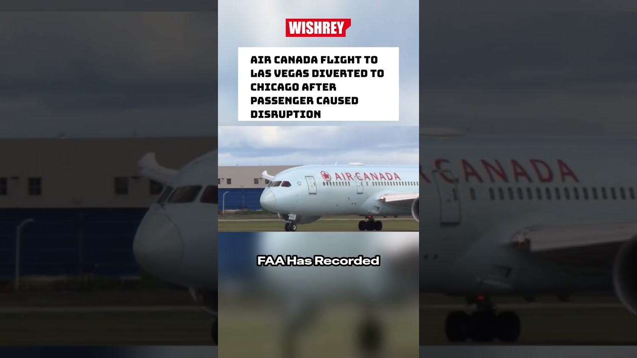 Passenger Disruption Forces Emergency Landing of Air Canada Flight #shorts
