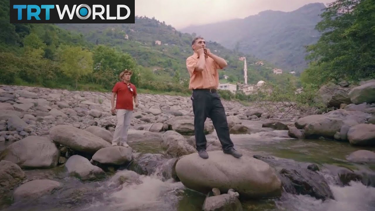 The whistled 'bird language' of Northern Turkey | Culture | Showcase