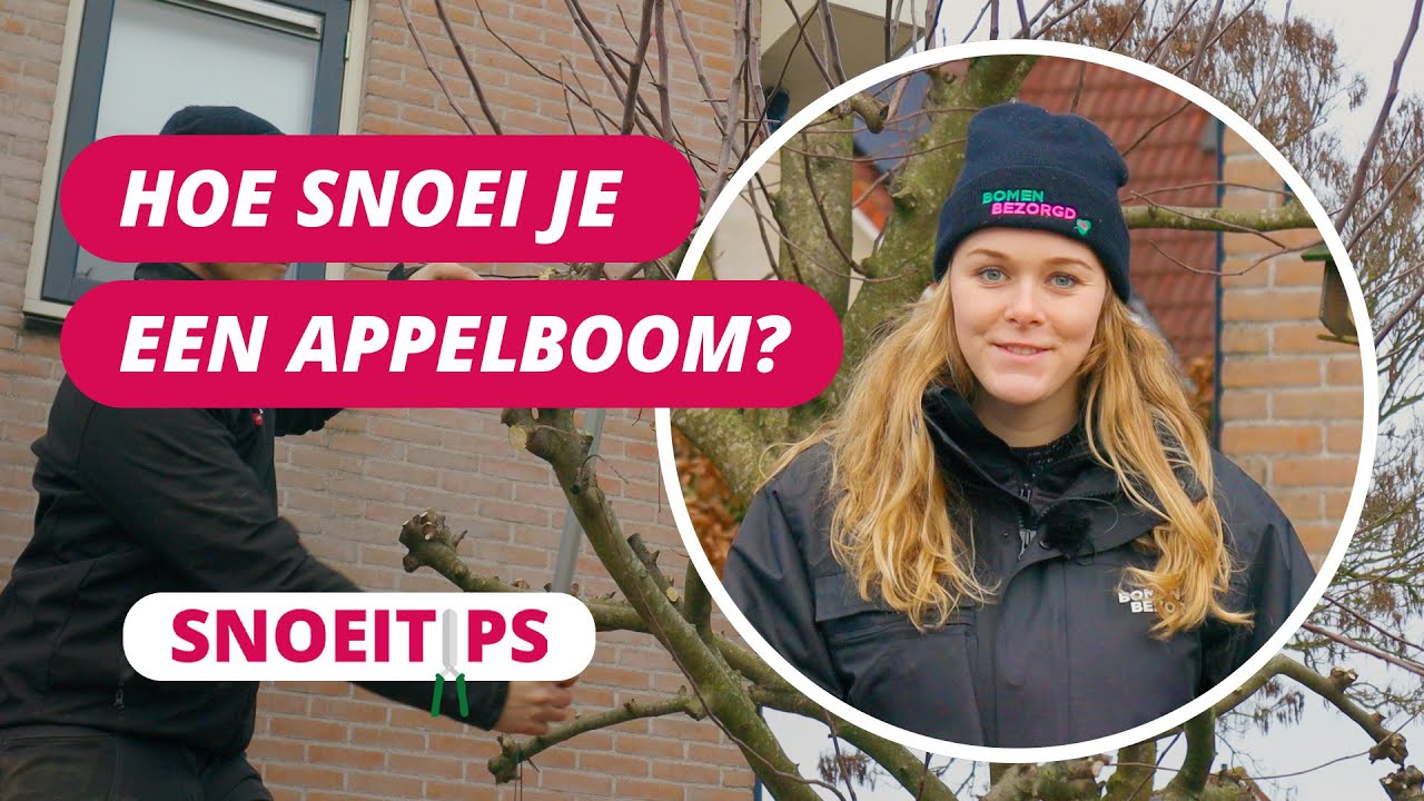 Hoe snoei je een appelboom? | SnoeiTips #22
