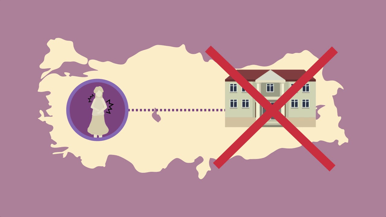 Kadınlara Yönelik Şiddet ve Toplumsal Cinsiyet Eşitliği
