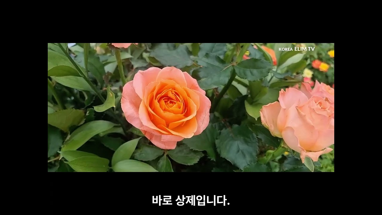 왜? 예수님만 구원자라고 하는지에 대한 동서양 고대문헌의 답변! (자막수정 완료)
