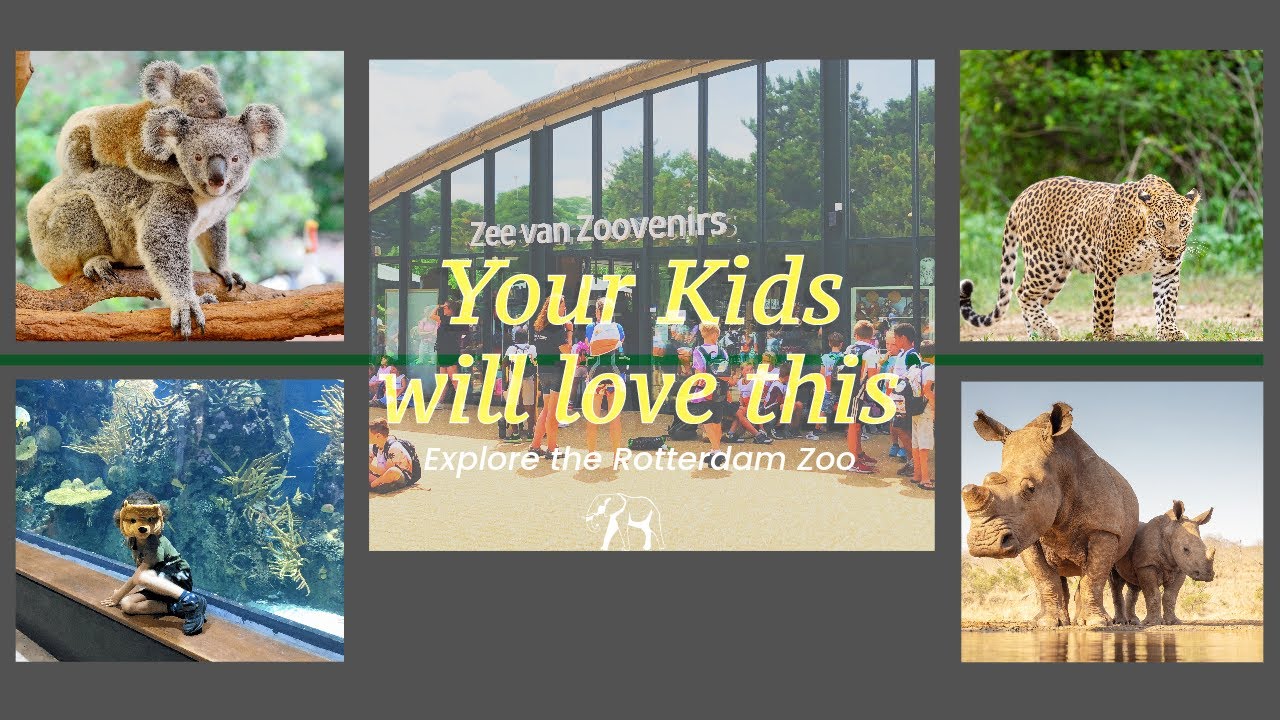 One of the  best places to visit with your kids || Rotterdam Zoo 🇳🇱 ||