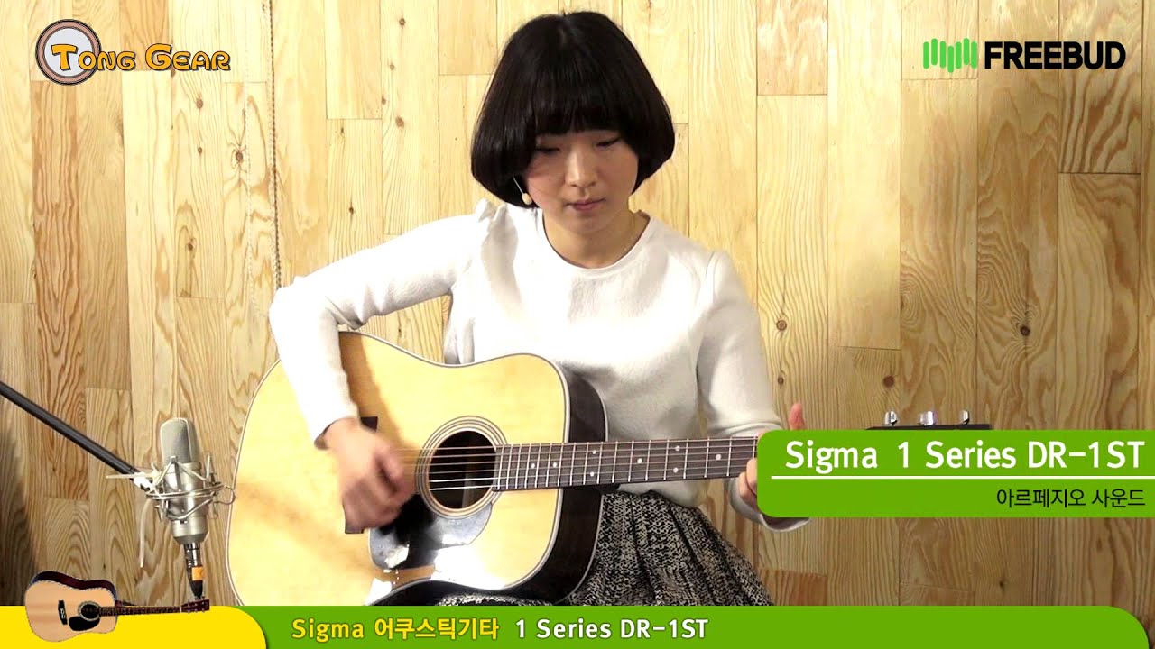 통기어 Sigma 어쿠스틱기타 1 Series DR-1ST