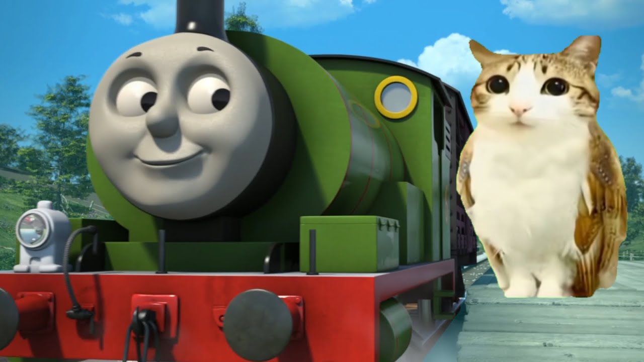 Meowl Is Here!
