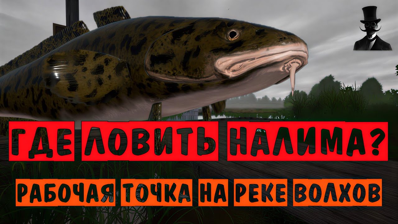 ГДЕ ЛОВИТЬ НАЛИМА? Рабочая точка на реке Волхов! Точки клёва - Русская Рыбалка 4.