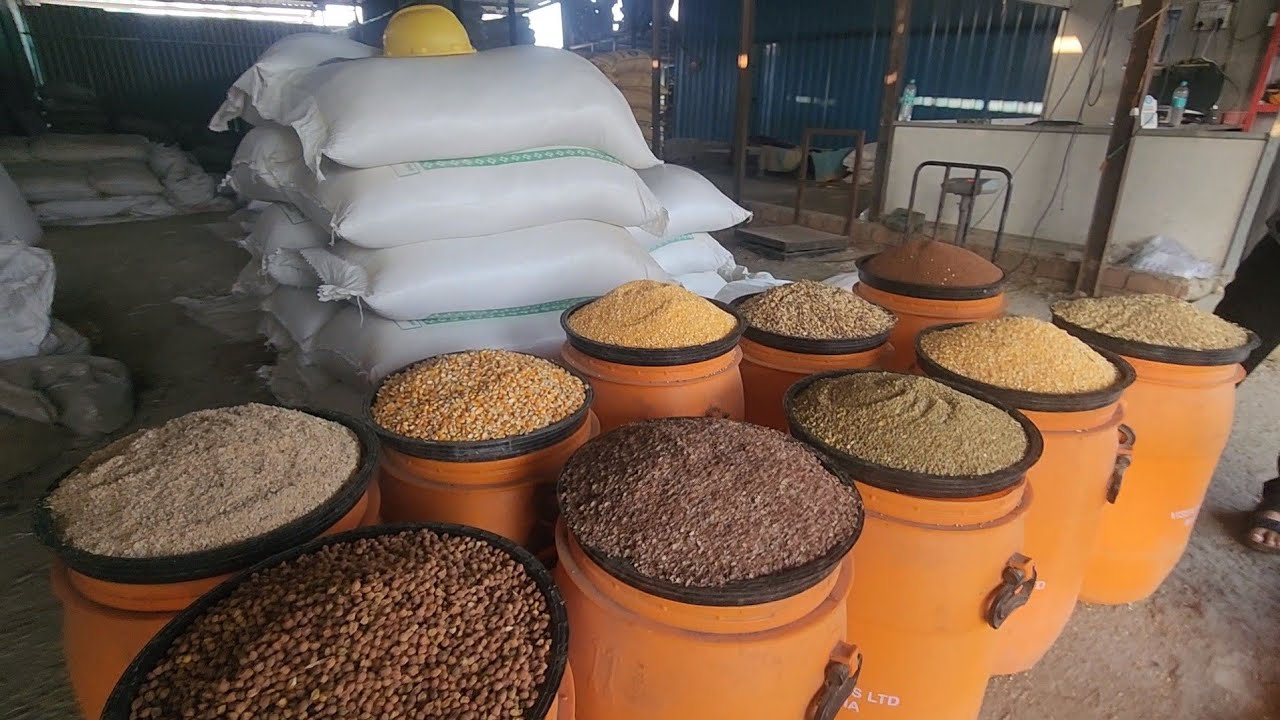 Sabse Sasta Goat Feed | ₹21 Se Mumbai Main Harri Patti | RJ Goat Feed | 1 Day Delivery All Mumbai.
