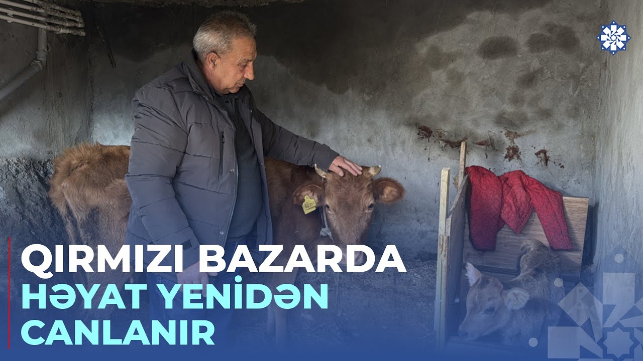Sakinlər özünüməşğulluq proqramı ilə təsərrüfatlarını qururlar