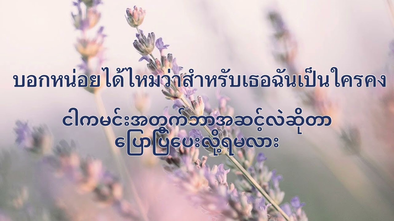 เส้นบางๆ~INDIGO 