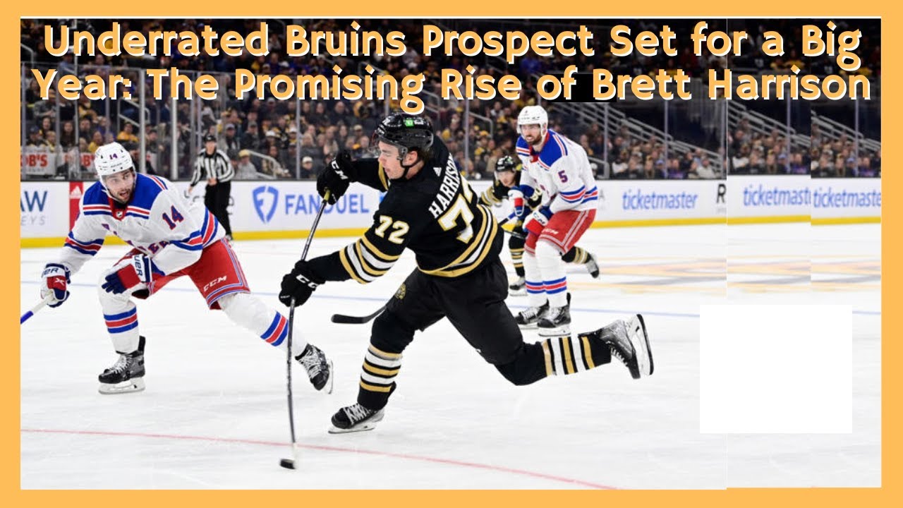 Underrated Bruins Prospect Set for a Big Year: The Promising Rise of Brett Harrison