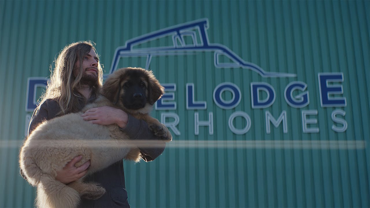 Meet the Team Behind Drivelodge: Crafting Camper Van Dreams