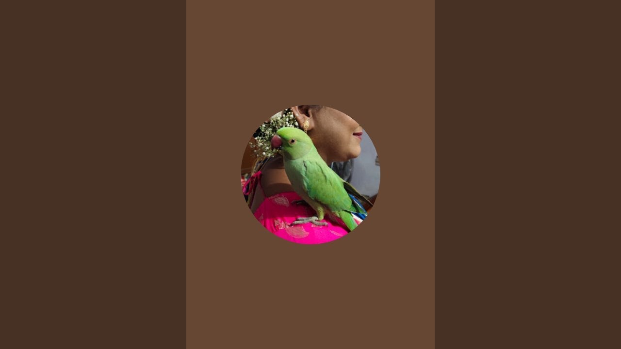 Susmita Nandi is live!