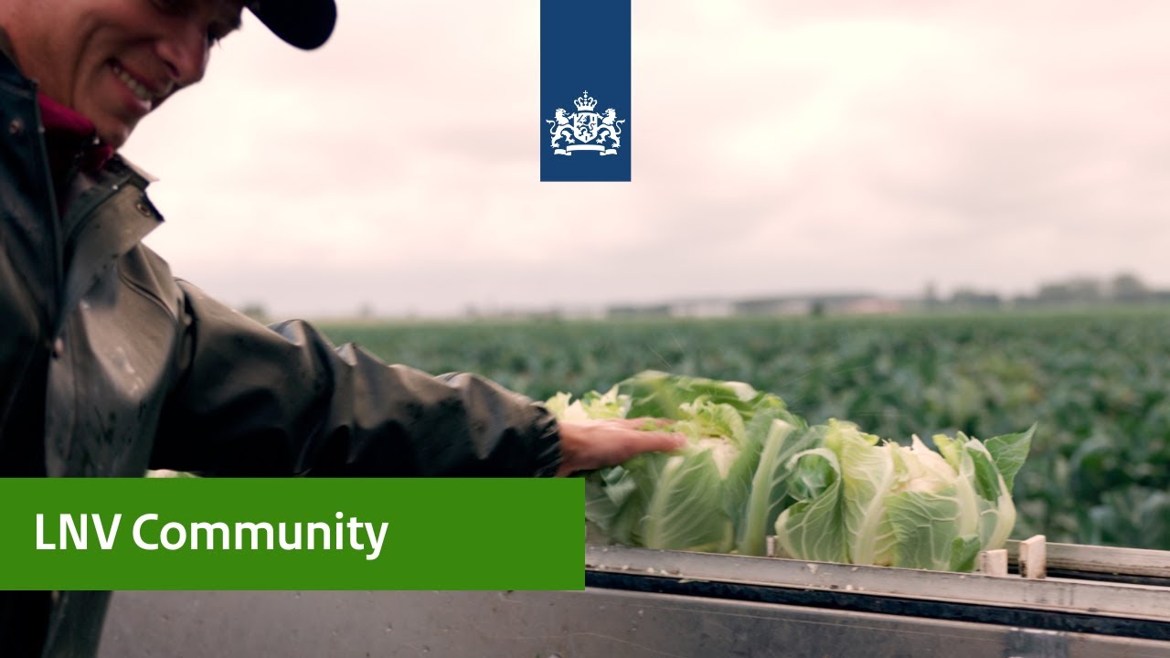 LNV Community | Bloemkoolteler P.N. Slagter