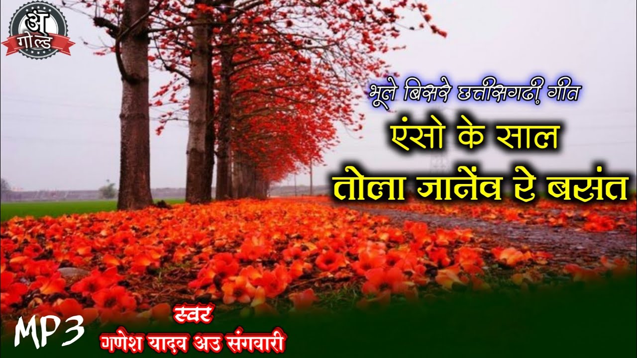 OLD CG SONG।एंसो के साल तोला जानेव रे । गणेश यादव हिट्स। भूले बिसरे छत्तीसगढ़ी गीत।