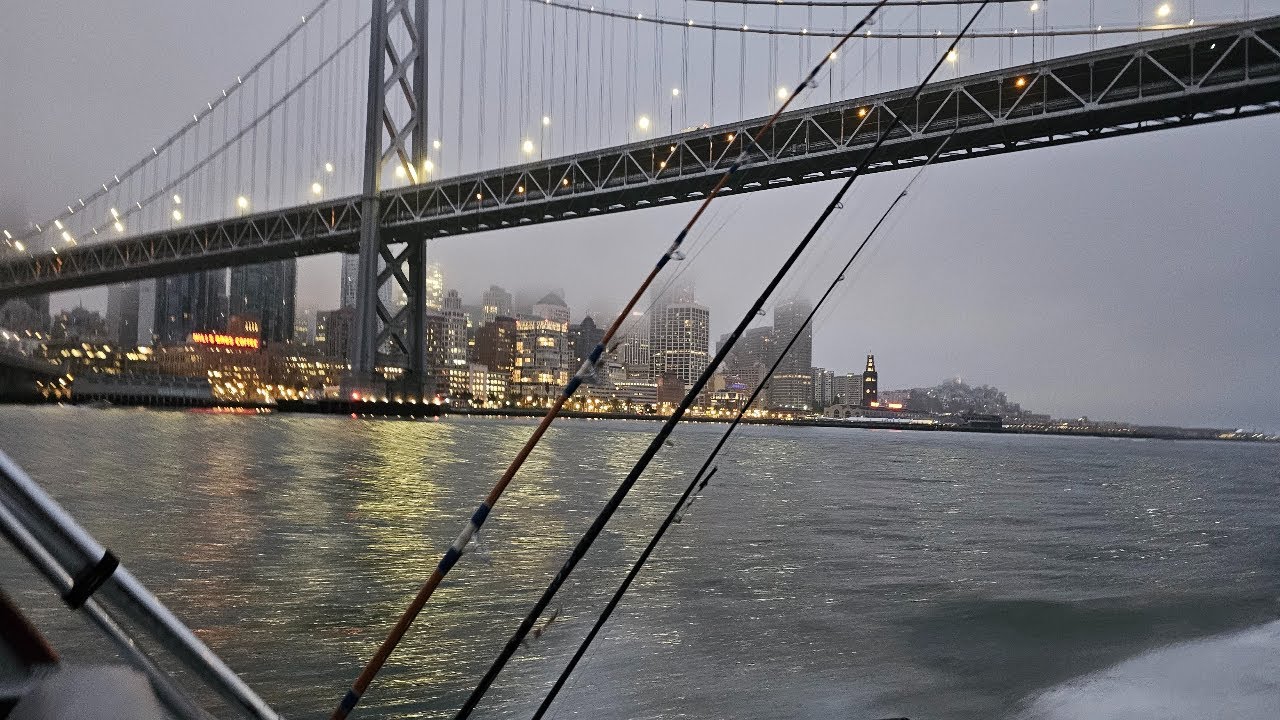 Fishing in the SFBay. Halibut & Striped Bass.Рибалка в заливі Сан-Франциско.Ловля Палтуса iСтрайпера