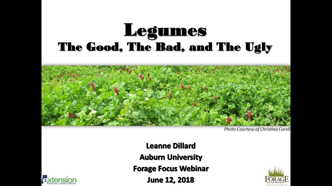 Legume Management