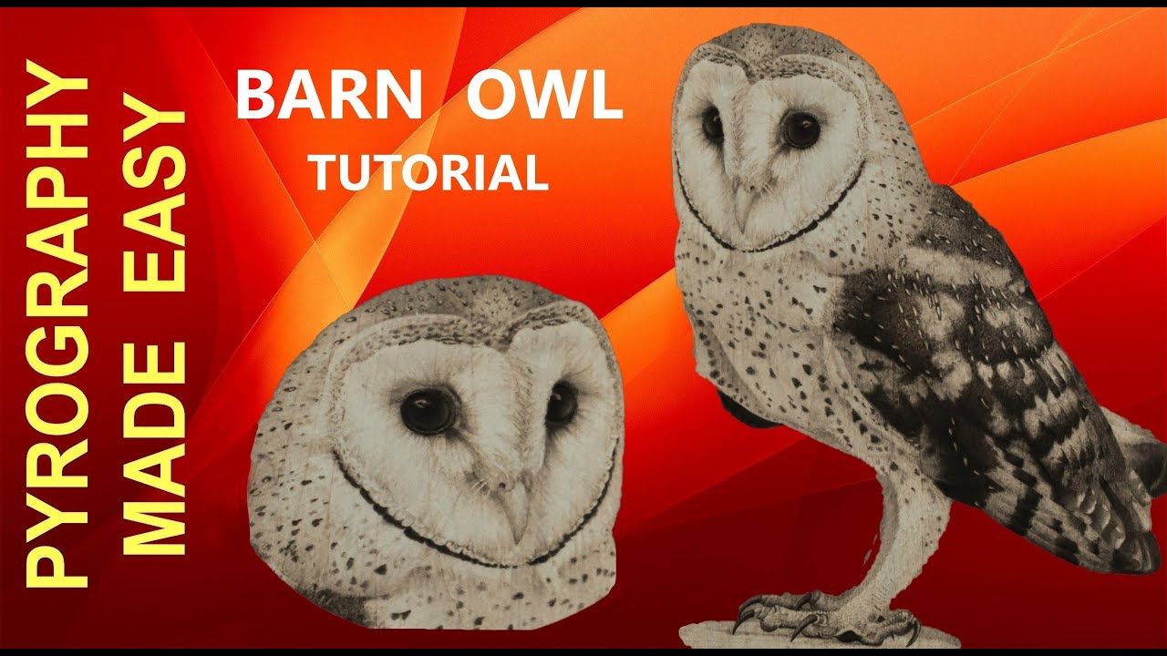 Wood Burning - realistic Barn Owl (pyrography tutorial)