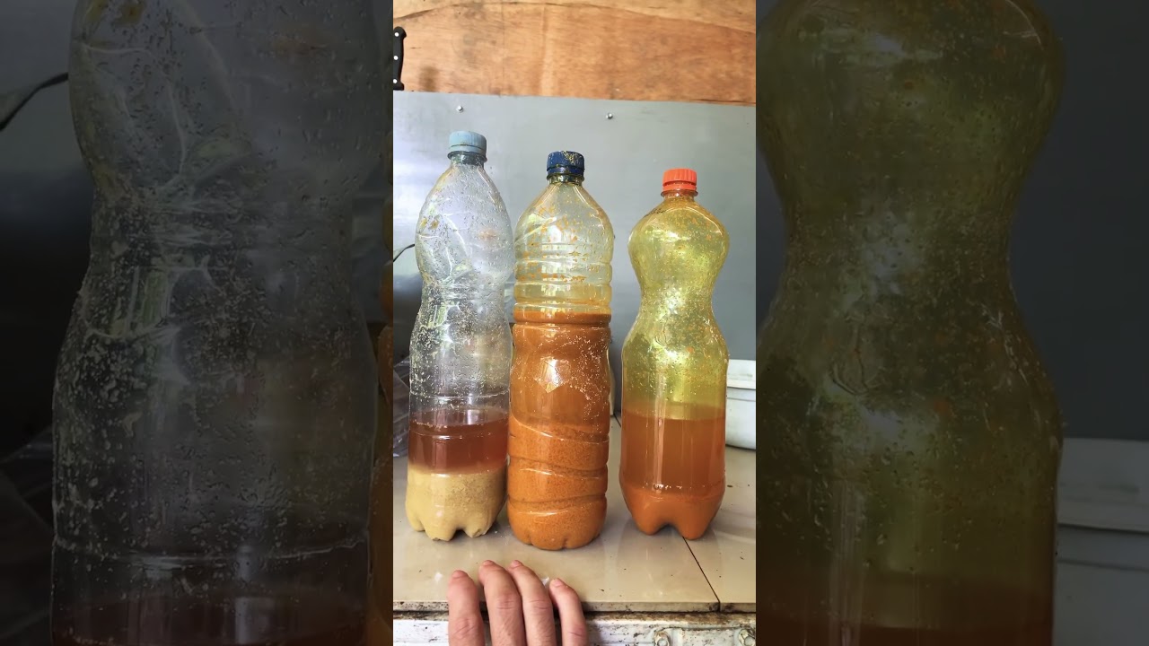 Kuteja Untuk Minum Ayam Supaya Tidak Gampang Sakit