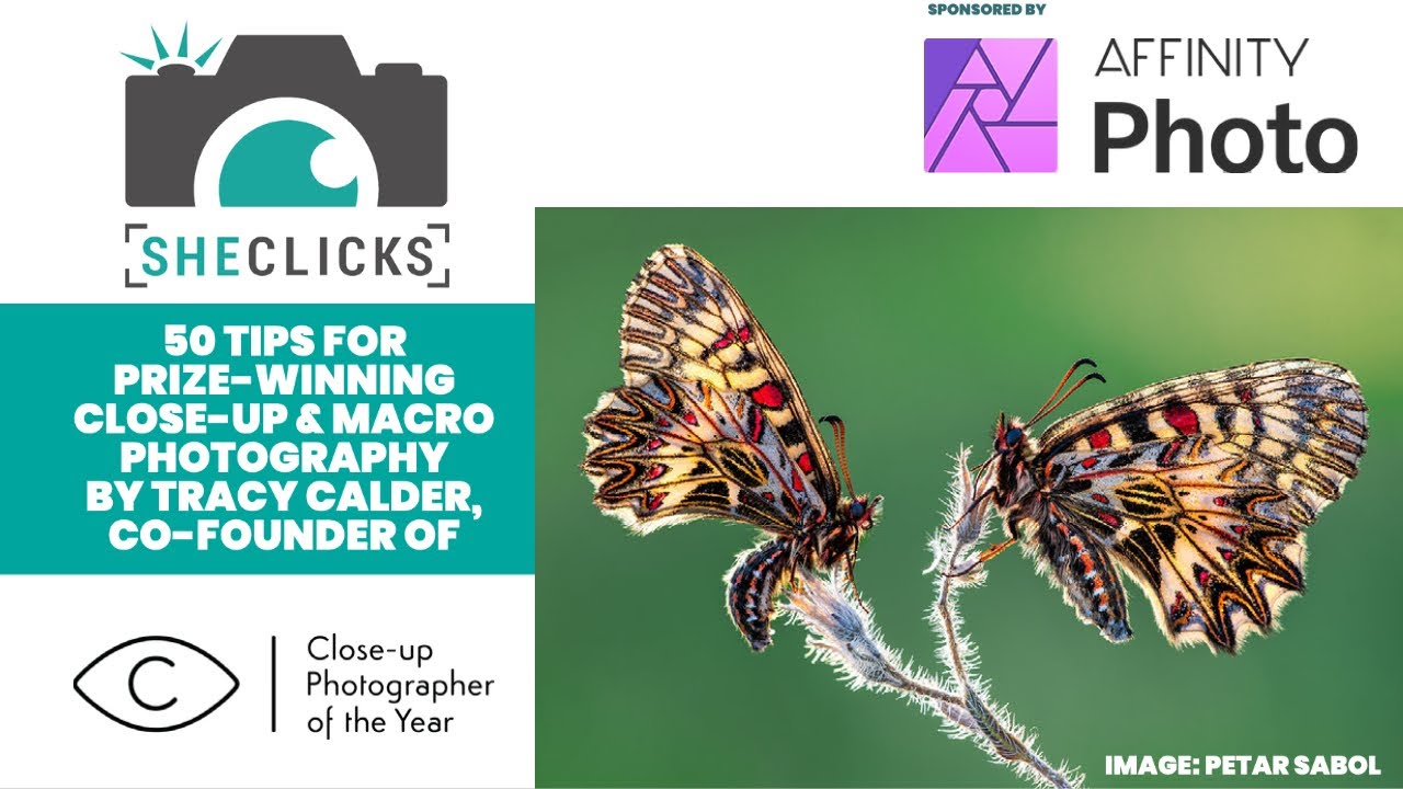 50 Tips for Close up Photography by Tracy Calder