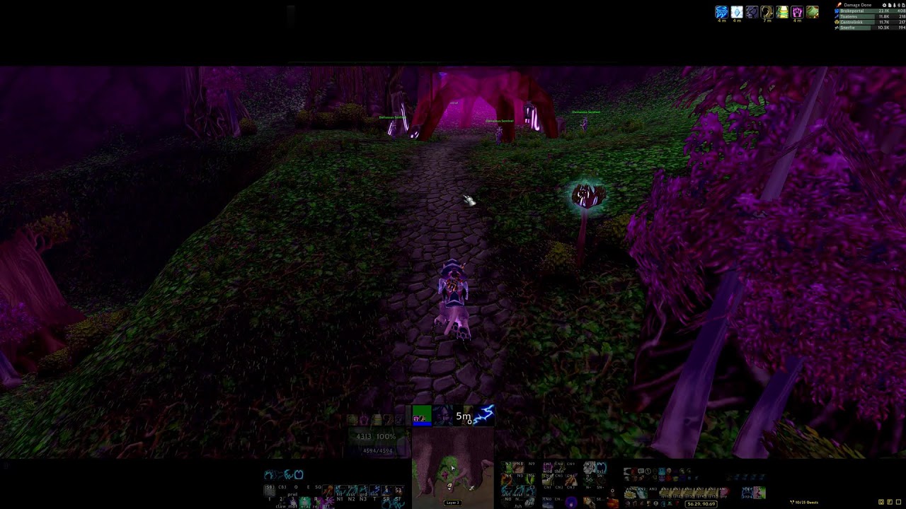 World of Warcraft | TBC Anniversary | 60 Resto Druid in LBRS