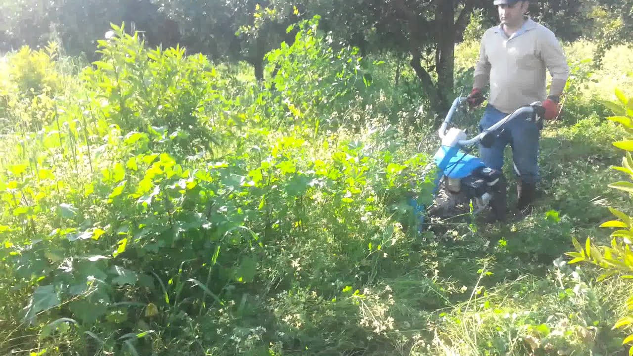 Bertolini çayır biçme makinasi