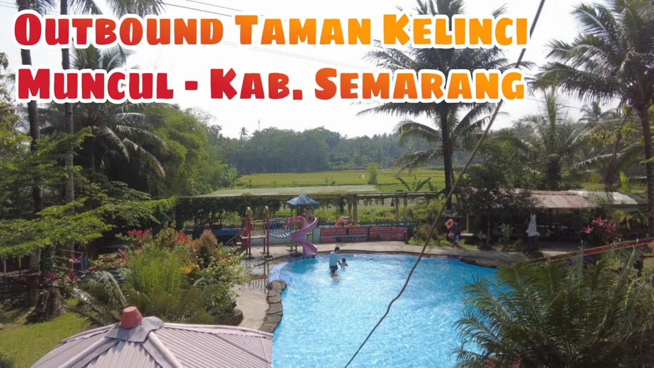 Taman Kelinci Muncul - Banyubiru, Kab. Semarang || Outbound & Kolam Renang