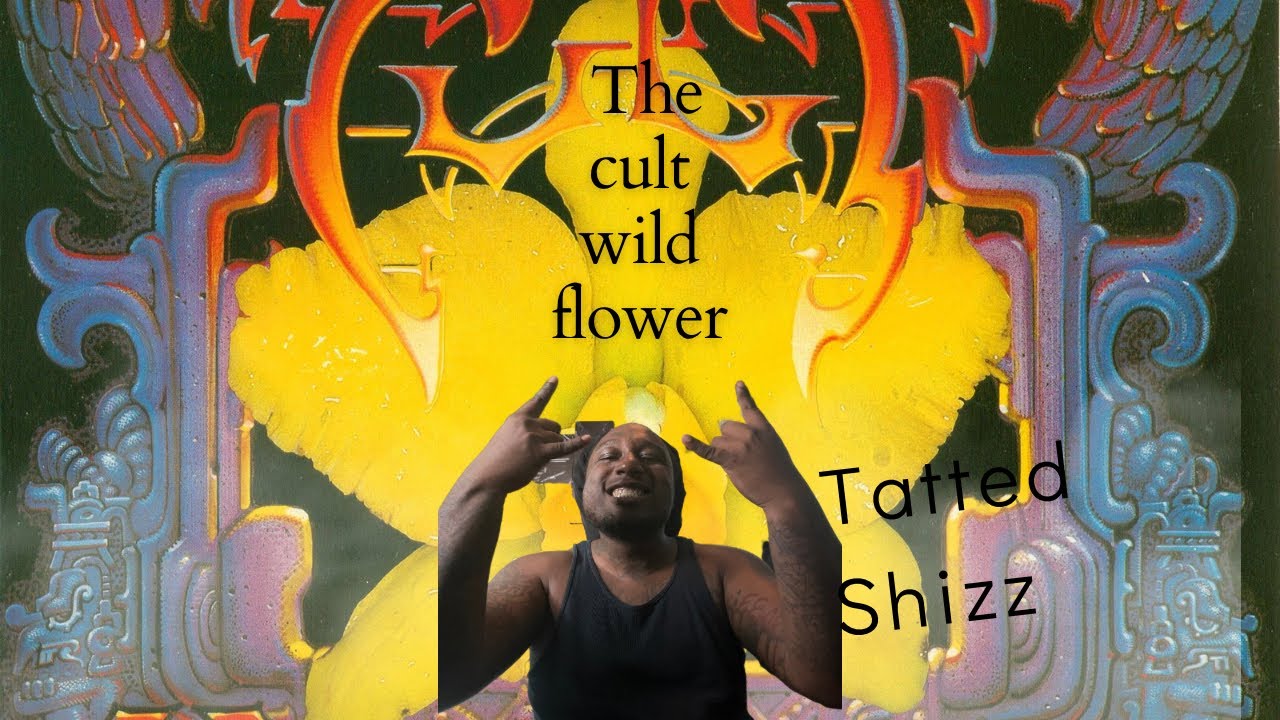 I Can't Believe My Ears ! My First Time Listening To The Cult - Wild  Flower Reaction ￼