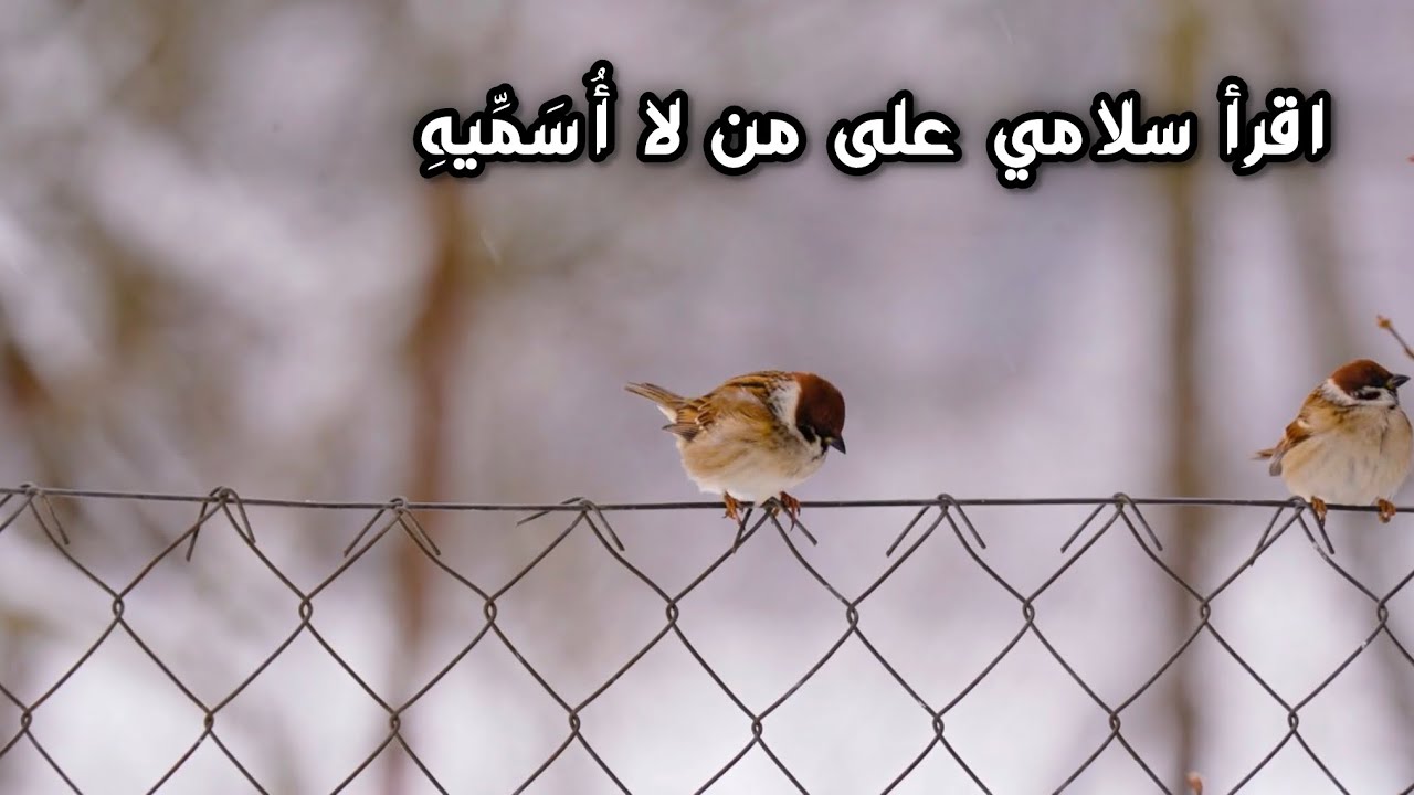 اقرأ سلامي على من لا أسميه | بهاء الدين زهير