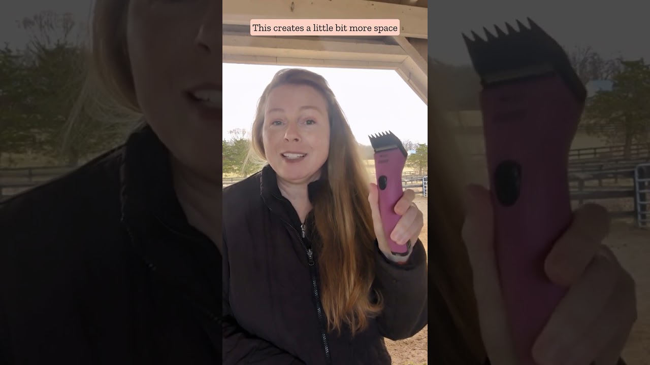 Horse clipping tips - clipping white hair on pink skin