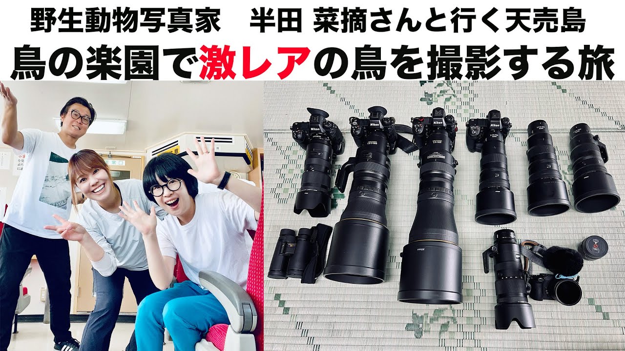 [Nikon Z 9]　鳥の楽園で激レアの鳥を撮影する旅！野生動物写真家 半田菜摘さんと行く、鳥の楽園　天売島！キャンピングカーに乗って千葉から天売島まで行く！