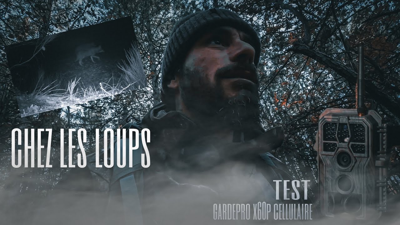 On va explorer le territoire des loups et je vais te présenter cette nouvelle caméra cellulaire !