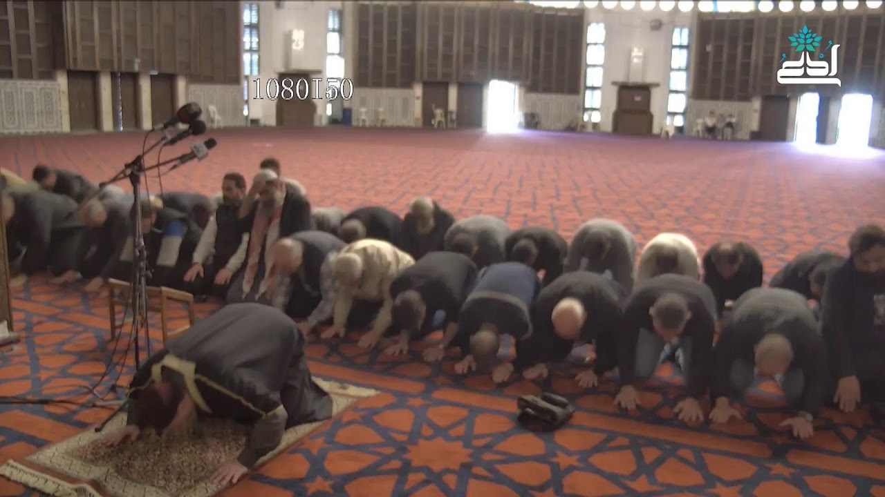 صلاة العصر، #عمان_الاردن مسجد الملك المؤسس طيب الله ثراه 1-2-2026م.فضيلة الشيخ عبدالله ابو غزالة.