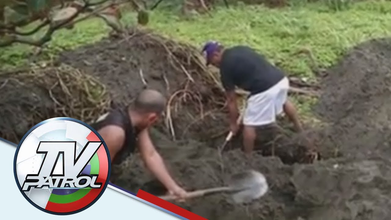 Mga baboy nakitang tumalon mula sa barko sa Mindoro | TV Patrol
