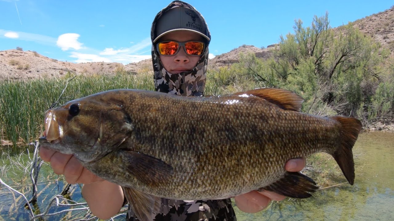 30 Bass Challenge! I CAN'T BELIEVE WHAT JUST HAPPENED!