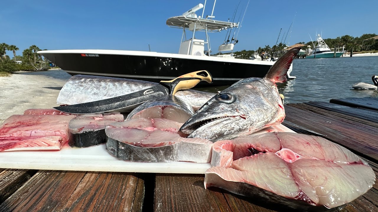 $30,000 Kingfish Catch Clean & Cook