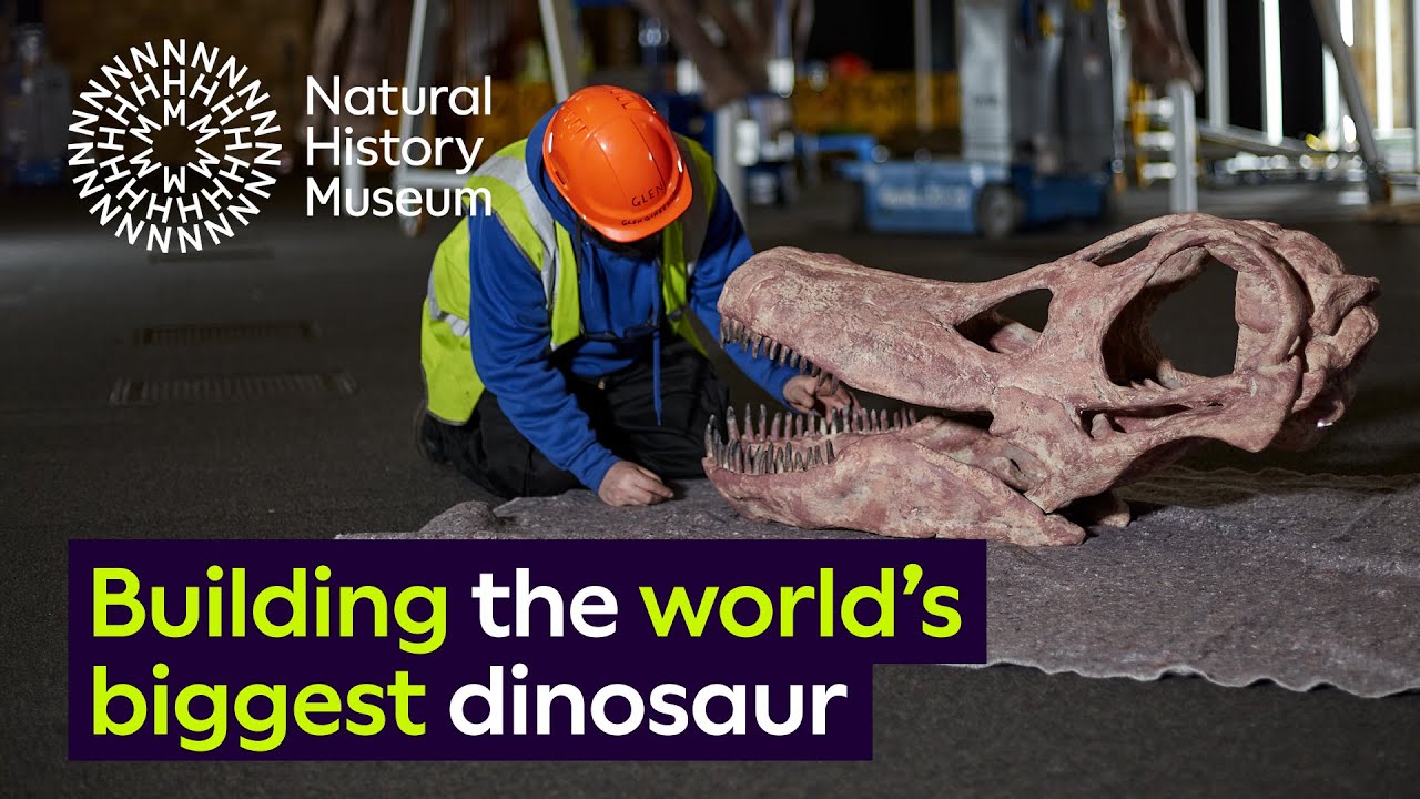 Titanosaur : Building the world's biggest dinosaur | Time lapse